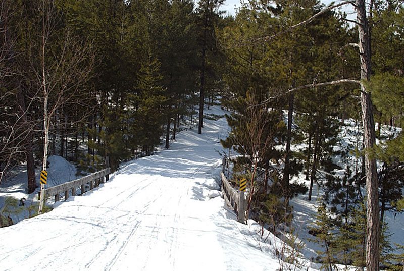 Cross Country Skiing